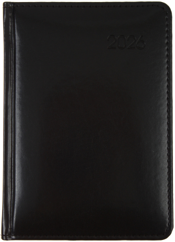 Ежедневник датированный на 2026 год Berlingo Silver Pristine (А6), 110*160 мм, 184 л., черный