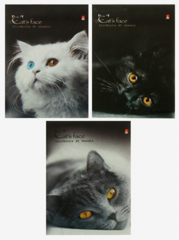 Блокнот на скобе «Альт» А7, 70*95 мм, 40 л., клетка, «Кошки», ассорти