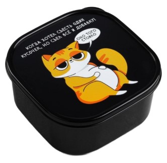 Ланч-бокс квадратный Sima Land 0,7 л, «Кот» Ланч-бокс квадратный Sima Land 0,7 л, «Кот»
