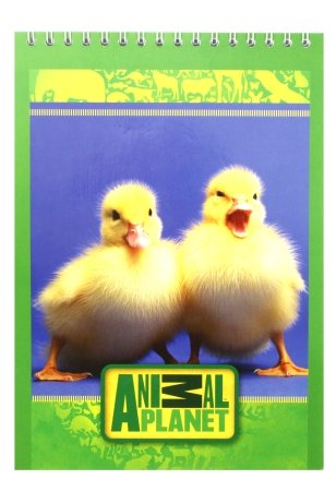 Блокнот на гребне Action!, 145*205 мм, 40 л., Animal Planet, ассорти Блокнот на гребне Action!, 145*205 мм, 40 л., Animal Planet, ассорти