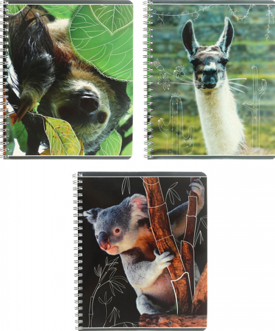 Тетрадь общая А5, 80 л. на гребне «Фото животных», 163*202 мм, клетка, ассорти