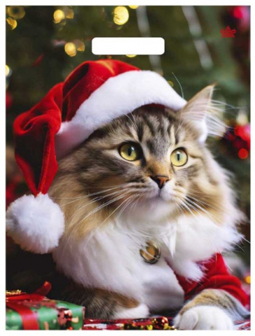 Пакет упаковочный «Тико-пластик» (30*40 см), 30*40 см, «Новогодний мур»