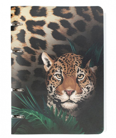 Тетрадь общая А5, 80 л. на кольцах «ПандаРог» 160×215 мм, клетка, «Дикие тропики» Тетрадь общая А5, 80 л. на кольцах «ПандаРог» 160×215 мм, клетка, «Дикие тропики»