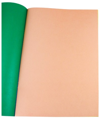 Бумага цветная двусторонняя А4 Prof-Press, 16 цветов*2, 16 л., немелованная, «Странный котик-3»