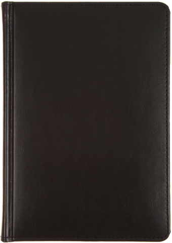 Ежедневник датированный на 2026 год Sidney Nebraska, 145*205 мм, 168 л., черный