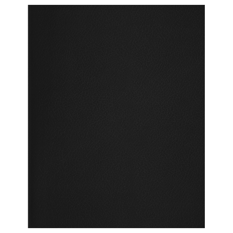 Тетрадь общая А4, 96 л. на скобе BG 200×270 мм, клетка, черная