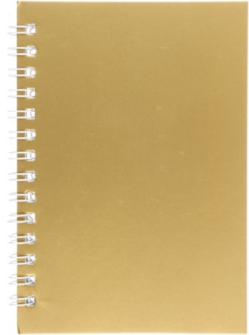 Книжка записная «Проф-Пресс», 95*135 мм, 80 л., клетка, «Золотой» Книжка записная «Проф-Пресс», 95*135 мм, 80 л., клетка, «Золотой»