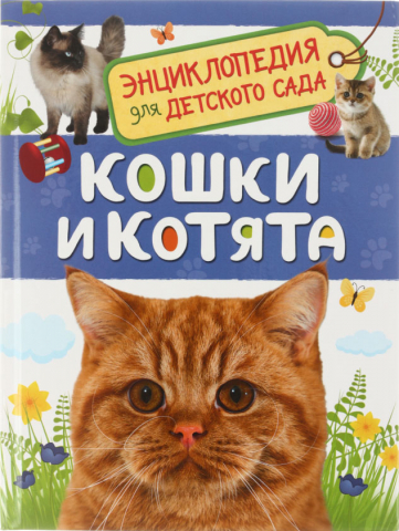 Энциклопедия «Росмэн» «Энциклопедия для детского сада», 165*220 мм, 24 л., «Кошки и котята»