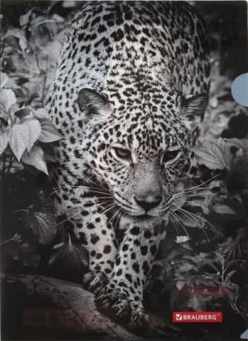 Папка-уголок пластиковая Brauberg А4 (с рисунком), толщина пластика 0,15 мм, Leopard