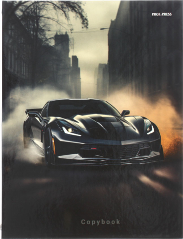 Тетрадь общая А5, 80 л. на кольцах Prof-Press, 165*215 мм, клетка, «Городской дрифт» Тетрадь общая А5, 80 л. на кольцах Prof-Press, 165*215 мм, клетка, «Городской дрифт»