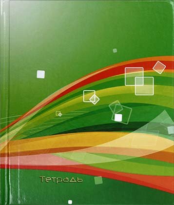 Тетрадь общая А5, 96 л. «Полиграфкомбинат» , 170*203 мм, клетка