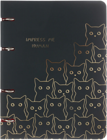 Тетрадь общая А5, 100 л. на кольцах Meshu, 160*210 мм, клетка, Amazing Cats Тетрадь общая А5, 100 л. на кольцах Meshu, 160*210 мм, клетка, Amazing Cats