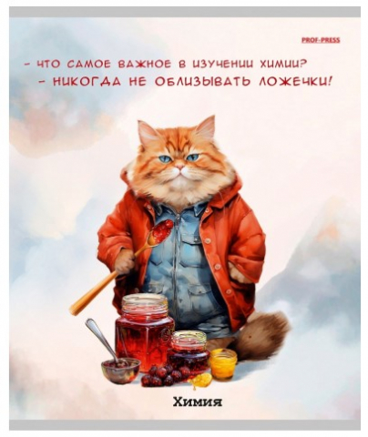 Тетрадь предметная А5, 48 л. на скобе «Жил-был кот», 170*207 мм, клетка, «Химия»