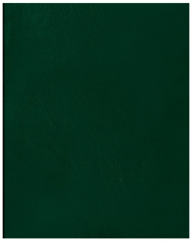 Тетрадь общая А5, 96 л. на скобе BG, 160*202 мм, клетка, зеленая