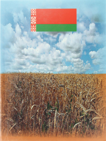 Книжка записная на склейке «Флаг РБ», 105*140 мм, 64 л., клетка Книжка записная на склейке «Флаг РБ», 105*140 мм, 64 л., клетка